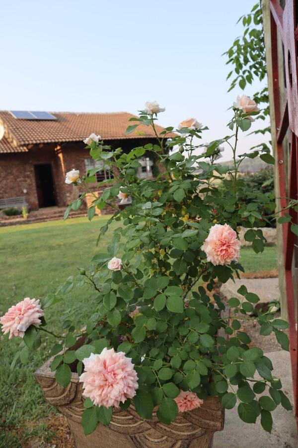 Rocks & Roses Farm Stay Lochiel Exterior foto